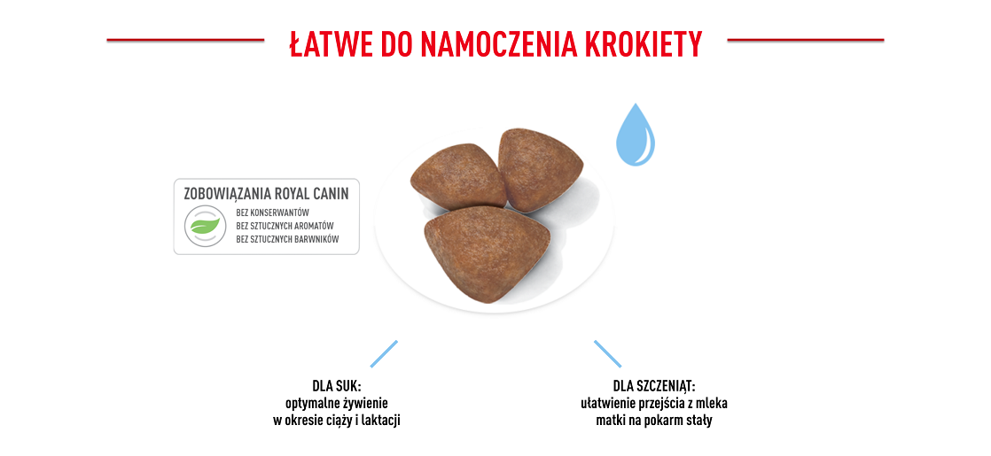 ROYAL CANIN Mini Starter Mother & Babydog 8 kg 